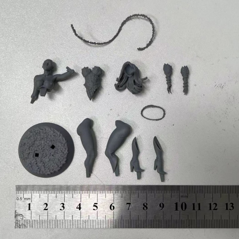 1/24 skala królowa lasu Scienc – Science Hobby Kit recenzja i cena