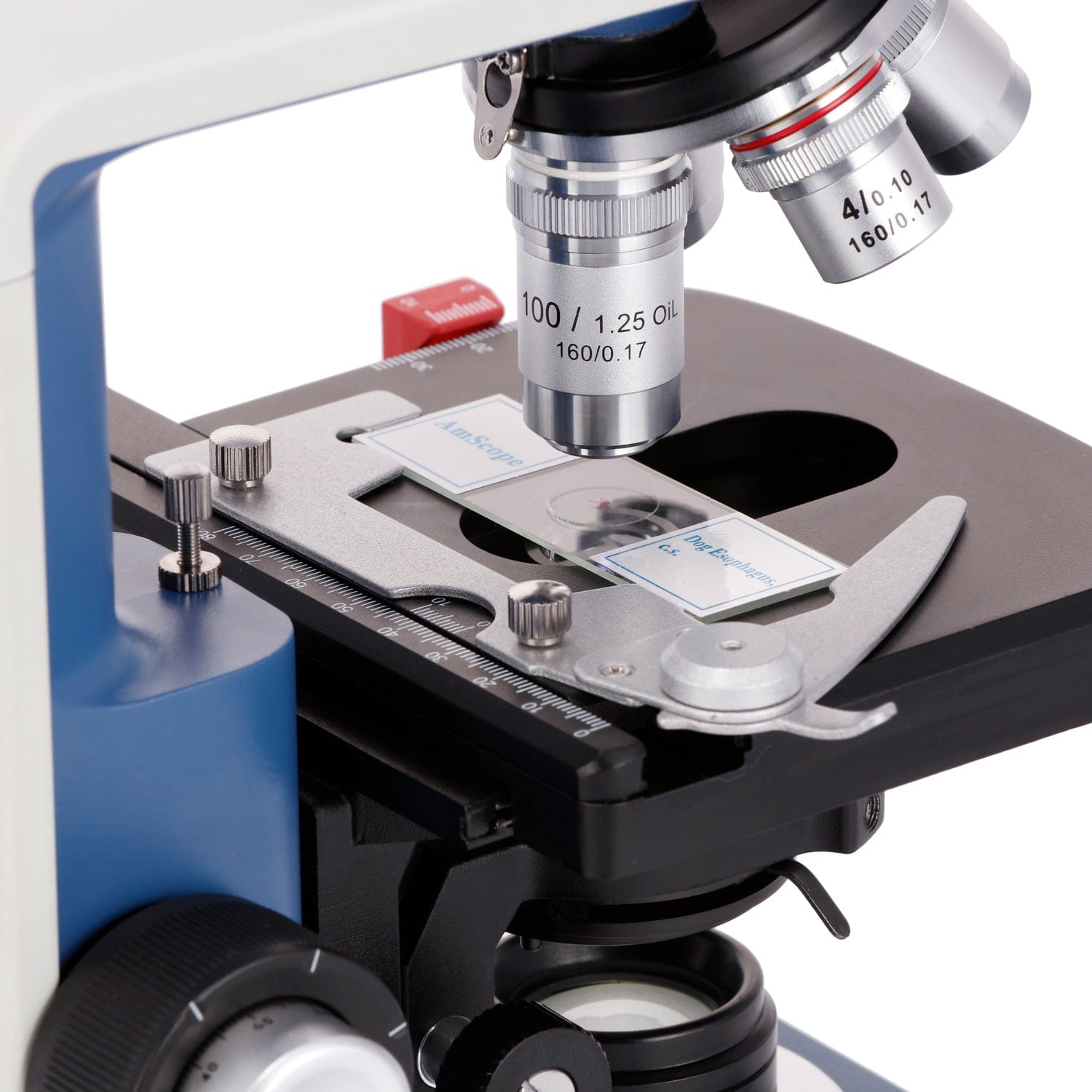 Mikroskop dwuokularowy AmScope – Microscope Compound 40X recenzja i cena