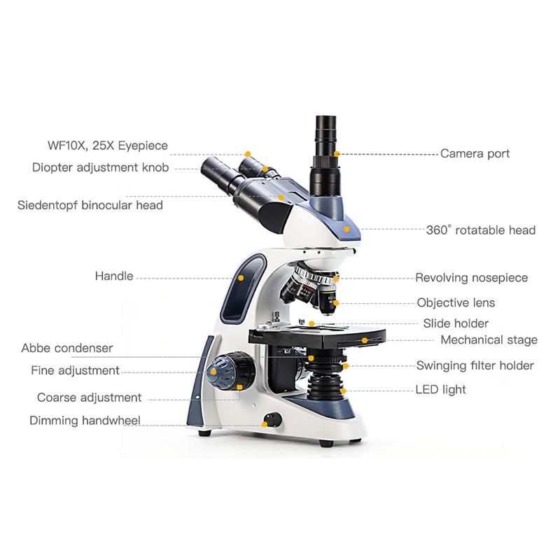 Mikroskop trójokularowy SWIFT  – Microscope Compound 40X recenzja i cena