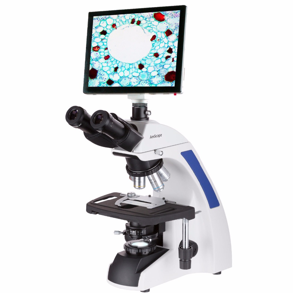 Mikroskop trójokularowy AmScop – Amscope Microscope Compound 40X-1000X recenzja i cena