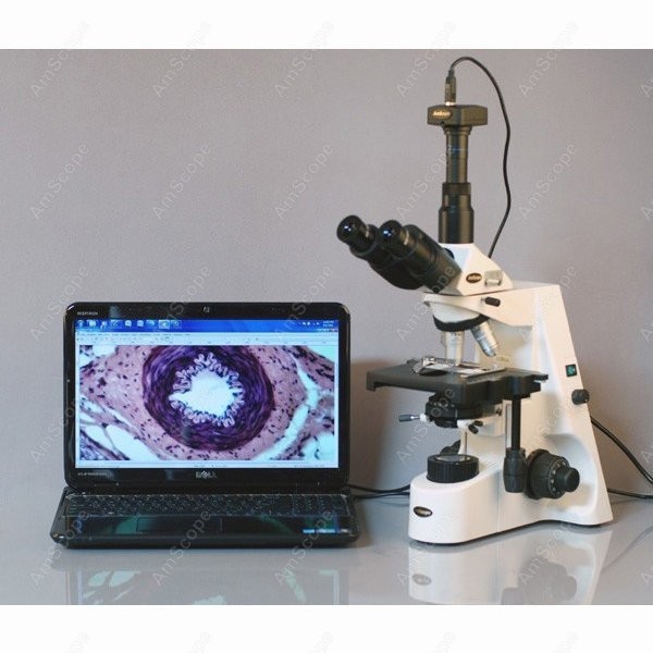 Mikroskop biologiczny AmScope  – Microscope Compound 40X recenzja i cena