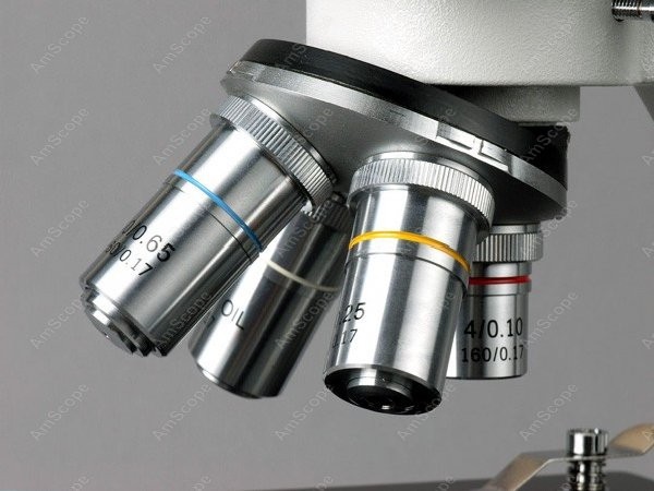Mikroskop biologiczny dwuokula – Amscope Microscope Compound 40X-1000X recenzja i cena